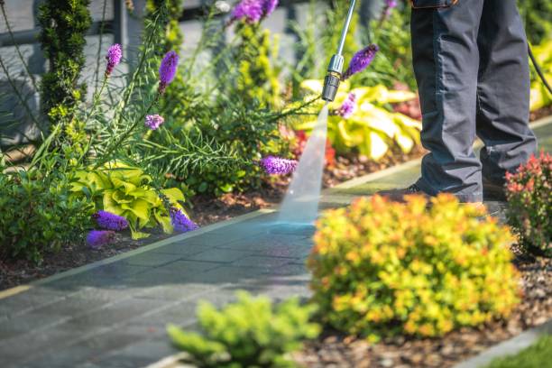 Best Driveway Pressure Washing  in East Quincy, CA